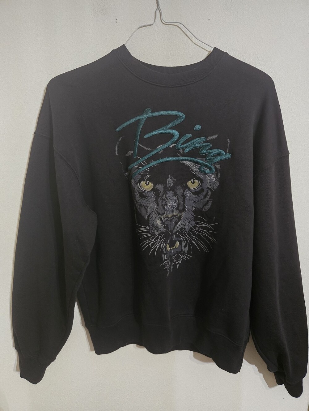 Anine Bing Black Panther Graphic Sweatshirt - Black & Teal